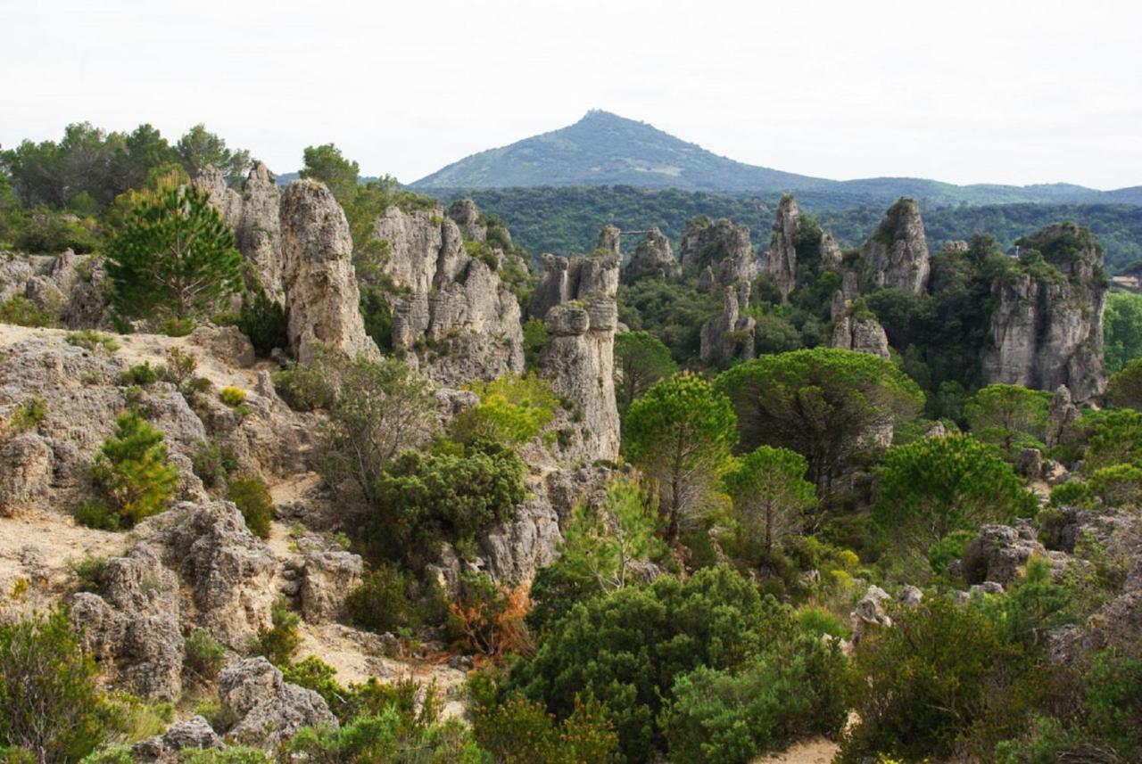 "Evasion"-Meuble De Tourisme 3 Etoiles -Residence "Les Logis De Beziers"-Garage Optionnel-Coeur De Ville-Plages A 16Km ! Eksteriør billede